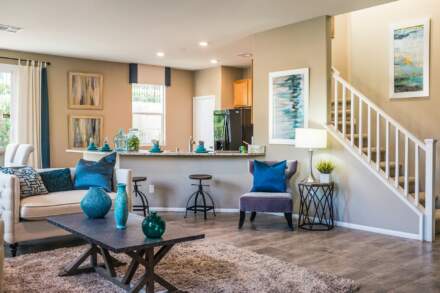 Say Goodbye to Unwelcome Guests in Your Home