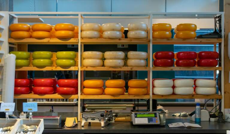 A Comprehensive Guide to Choosing the Best Weighing Solutions for Your Business